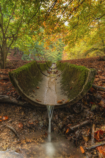 View of a moss covered concrete water channel in the Canfaito forest surrounded by vibrant autumn foliage and fallen leaves in San Severino Marche Marche Italy.
