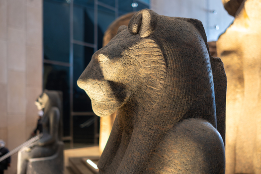 Giza Egypt 16 May 2026 View of the profile of an ancient lion headed statue carved from dark stone inside the Grand Egyptian Museum.