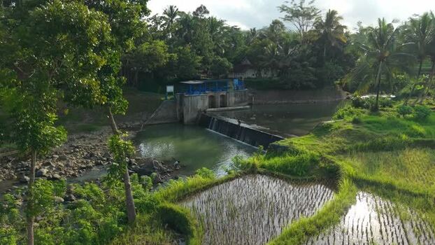 Aerial view of Tangsi River Water Gate and rice fields Indonesia. Aerial view of Tangsi River Water Gate and rice fields Indonesia.