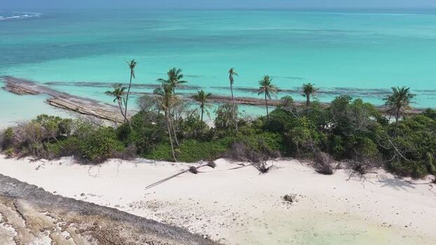 Aerial view of a tropical island with palm trees Maldives.