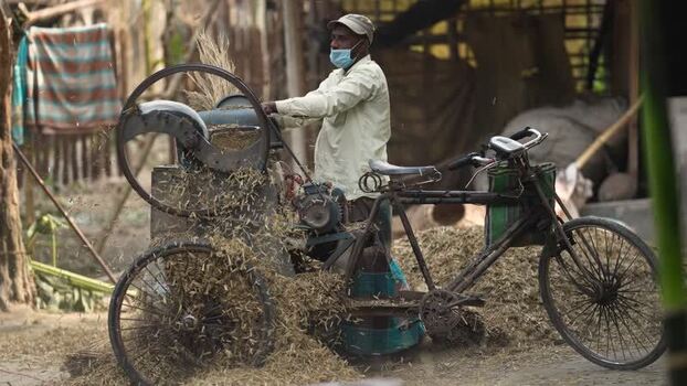 View of a man operating a bicycle powered fodder machine Bangladesh. View of a man operating a bicycle powered fodder machine Bangladesh.