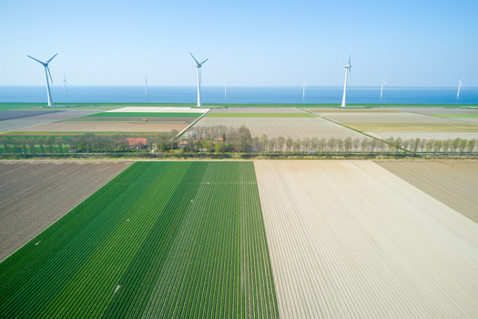 Aerial view of wind turbines standing along the coastline overlooking vast agricultural fields with rows of crops in the Netherlands.