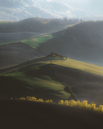 View of serene rolling hills and fields with trees under warm sunlight Pienza Italy.