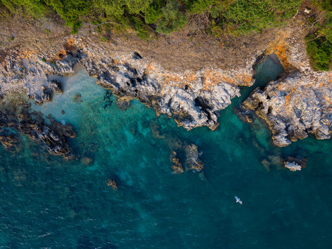 Aerial view of rocky coastline with turquoise crystal clear water green vegetation and a bird flying over the sea in Ksamil Vlore County Albania. Aerial view of rocky coastline with turquoise crystal clear water green vegetation and a bird flying over the sea in Ksamil Vlore County Albania.