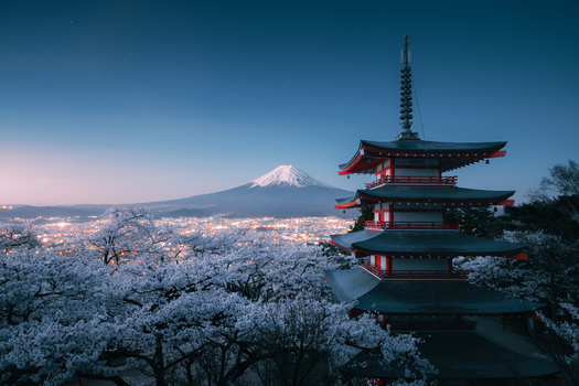 View of the iconic red Chureito Pagoda framed by cherry blossoms with snow capped Mount Fuji and the city lights twinkling Fujiyoshida Yamanashi Japan.