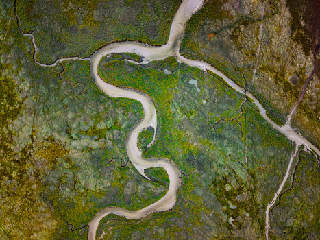Aerial view of the Havre de Geffosses a winding river estuary flowing through vibrant green marshlands and tidal flats in Geffosses Normandy France.