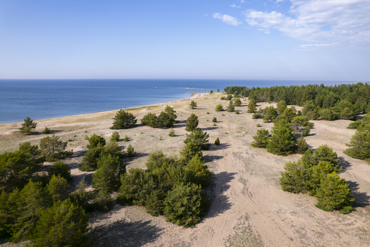Aerial view of the coastal landscape at Parispea featuring sandy dunes scattered pine trees and the calm blue sea under a clear sky in Harju County Estonia.