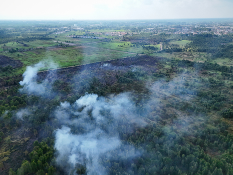 Aerial view of smoke rising from a forest fire in a rural area with burnt vegetation and green trees near Banjarbaru South Kalimantan Indonesia.