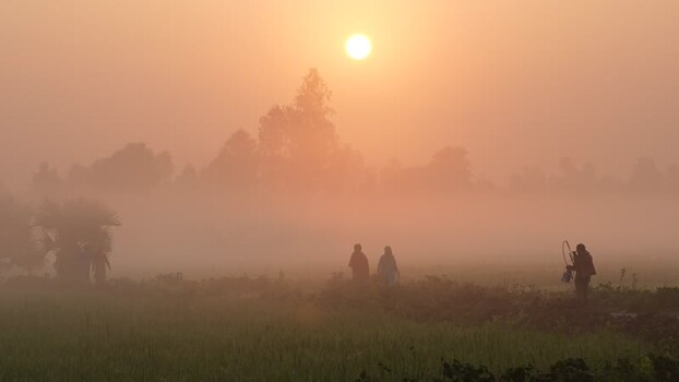 View of people walking in misty fields at sunrise Bangladesh.