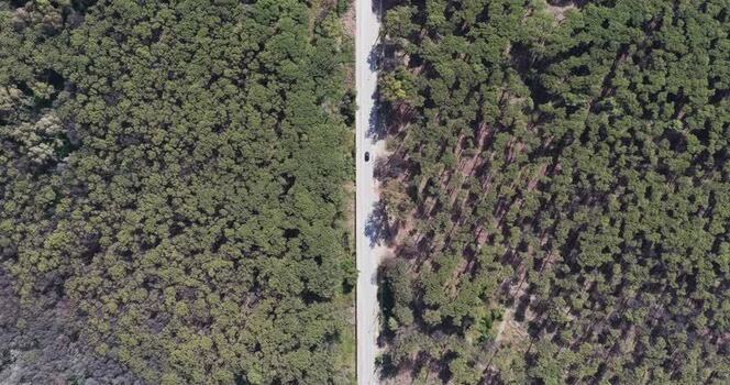Aerial view of a car driving on a road through a forest Italy.
