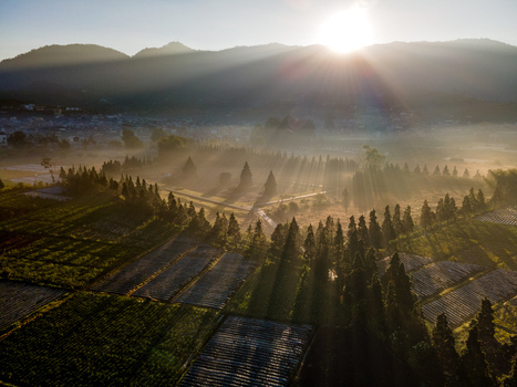 Aerial view of Dieng Plateau at sunrise with sun rays illuminating agricultural fields and misty trees in Kecamatan Batur Jawa Tengah Indonesia. Aerial view of Dieng Plateau at sunrise with sun rays illuminating agricultural fields and misty trees in Kecamatan Batur Jawa Tengah Indonesia.