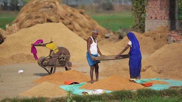 View of farmers winnowing grain in a rural field India.
