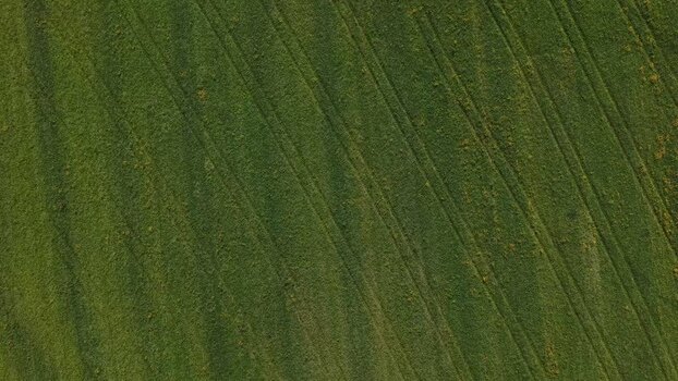 Aerial view of greenfarming field with tractor tracks Portugal. Aerial view of greenfarming field with tractor tracks Portugal.