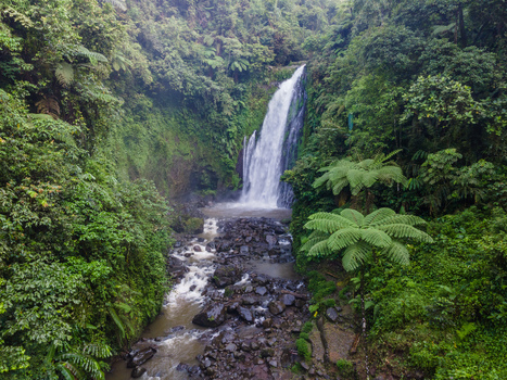Aerial view of Gomblang Waterfall cascading into a rocky stream surrounded by lush tropical jungle and green ferns in Kecamatan Kedungbanteng Jawa Tengah Indonesia. Aerial view of Gomblang Waterfall cascading into a rocky stream surrounded by lush tropical jungle and green ferns in Kecamatan Kedungbanteng Jawa Tengah Indonesia.