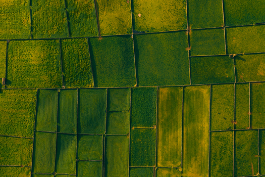 Aerial view of geometric agricultural fields and green pastures divided by traditional stone walls near Pico Dona Joana in Feteira Acores Portugal. Aerial view of geometric agricultural fields and green pastures divided by traditional stone walls near Pico Dona Joana in Feteira Acores Portugal.