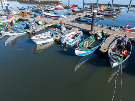 Aerial view of fishing boats bobbing gently in the harbor waters near Porta de Abrigo da Torreira Aveiro Portugal.