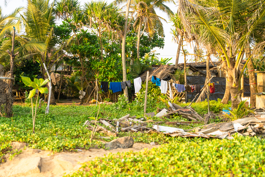 View of laundry hanging on a clothesline between palm trees and lush tropical vegetation near a sandy beach area in Galle Southern Province Sri Lanka.