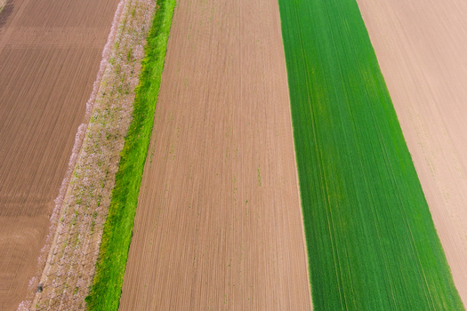 View of agricultural fields with distinct bands of brown soil and green crops in Romania. View of agricultural fields with distinct bands of brown soil and green crops in Romania.