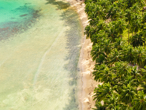 Aerial view of Coconut Beach featuring turquoise water white sand and lush palm trees in San Vicente Palawan Philippines.