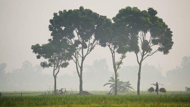 View of a farmer walking through misty fields in Bogura Bangladesh.