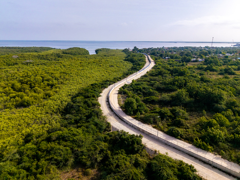 Aerial view of the border wall winding through lush mangrove forests and coastal vegetation in Pepillo Salcedo Monte Cristi Province Dominican Republic. Aerial view of the border wall winding through lush mangrove forests and coastal vegetation in Pepillo Salcedo Monte Cristi Province Dominican Republic.
