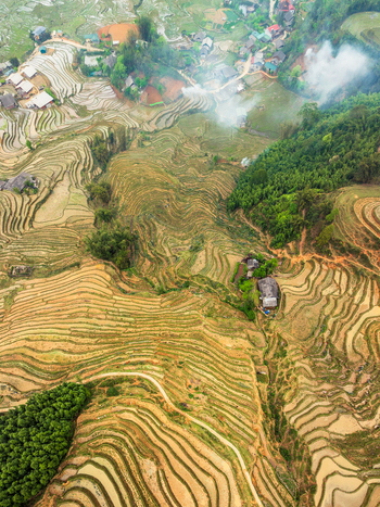 Aerial view of terraced rice fields with small rural houses and lush green vegetation in the mountainous landscape of Vietnam. Aerial view of terraced rice fields with small rural houses and lush green vegetation in the mountainous landscape of Vietnam.