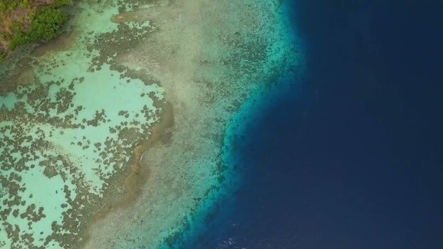 Aerial view of Piaynemo coral reefs in Indonesia.