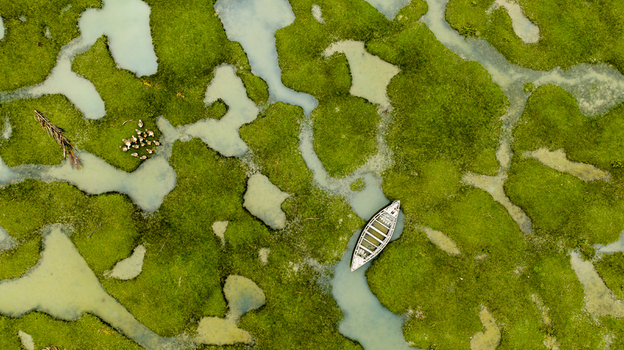 Aerial view of a traditional wooden boat floating in the lush green marshlands of Patharghata Barisal Division Bangladesh. Aerial view of a traditional wooden boat floating in the lush green marshlands of Patharghata Barisal Division Bangladesh.