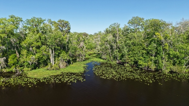 Aerial view of dark waters reflecting the sky bordered by vibrant green trees and lily pads Palmo Fish Camp Road s natural beauty unfolds St. Augustine Florida United States. Aerial view of dark waters reflecting the sky bordered by vibrant green trees and lily pads Palmo Fish Camp Road s natural beauty unfolds St. Augustine Florida United States.