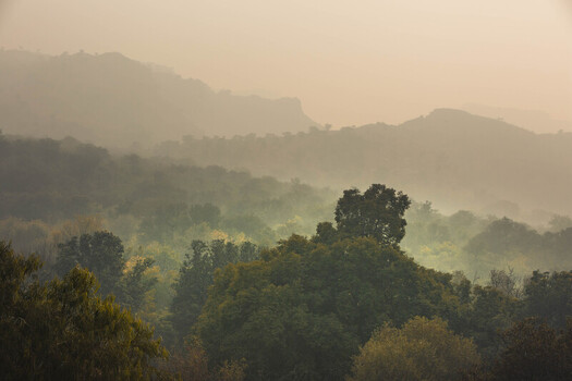 View of a hazy ethereal landscape where verdant trees meet the soft embrace of mist veiled hills creating a serene and dreamlike panorama Uchhali Lake Pakistan. View of a hazy ethereal landscape where verdant trees meet the soft embrace of mist veiled hills creating a serene and dreamlike panorama Uchhali Lake Pakistan.