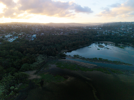 Aerial view of Dee Why Lagoon at sunset with surrounding wetlands lush trees and residential buildings in Dee Why New South Wales Australia. Aerial view of Dee Why Lagoon at sunset with surrounding wetlands lush trees and residential buildings in Dee Why New South Wales Australia.