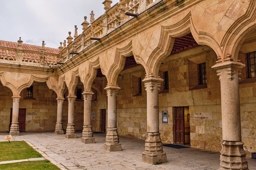 Salamanca Spain 29 November 2025 View of the ornate Plateresque arches and stone columns of the Escuelas Menores cloister at the University of Salamanca.