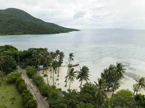 Aerial view of the beach fringed with lush greenery and palm trees meeting the turquoise sea under a soft sky at Bobby Beach Karimunjawa Central Java Indonesia.