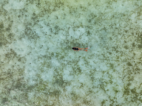 Aerial view of a person snorkeling in the clear turquoise waters of Komodo Island with coral reefs visible below in Komodo East Nusa Tenggara Indonesia.