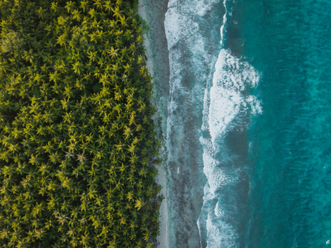 Aerial view of turquoise waves crashing against a pristine shore bordered by a dense forest of lush green trees Kelaa island Maldives. Aerial view of turquoise waves crashing against a pristine shore bordered by a dense forest of lush green trees Kelaa island Maldives.