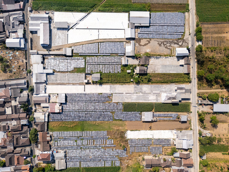 Aerial view of the UKM Sohun production facility with rows of drying noodles on racks surrounded by agricultural fields and residential houses in Kecamatan Tulung Jawa Tengah Indonesia.