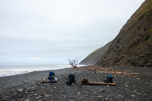 View of backpacks resting on a dark pebble beach with driftwood and steep cliffs along the shoreline of the Lost Coast in Humboldt County California United States.