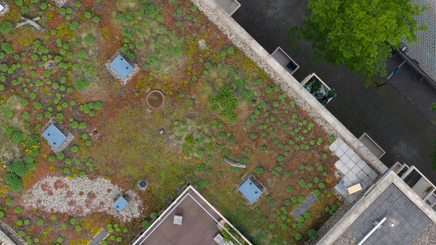Aerial view of a lush green rooftop garden with sustainable vegetation and urban biodiversity features in Amsterdam North Holland Netherlands. Aerial view of a lush green rooftop garden with sustainable vegetation and urban biodiversity features in Amsterdam North Holland Netherlands.