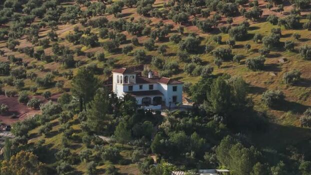 Aerial view of a white villa nestled among olive groves Spain.