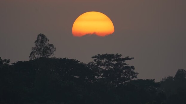 View of an orange sun setting behind tree silhouettes Bangladesh. View of an orange sun setting behind tree silhouettes Bangladesh.