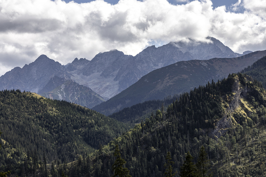 View of the Tatra Mountains featuring rugged peaks dense coniferous forests and a cloudy sky in Poland. View of the Tatra Mountains featuring rugged peaks dense coniferous forests and a cloudy sky in Poland.