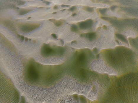 Aerial view of the Baie de Somme showing intricate patterns of sandbanks and tidal channels in Saint Valery sur Somme Hauts de France France. Aerial view of the Baie de Somme showing intricate patterns of sandbanks and tidal channels in Saint Valery sur Somme Hauts de France France.