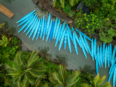 Aerial view of numerous blue outrigger boats moored along the Maasin River surrounded by lush palm trees and a wooden walkway in Siargao Philippines. Aerial view of numerous blue outrigger boats moored along the Maasin River surrounded by lush palm trees and a wooden walkway in Siargao Philippines.