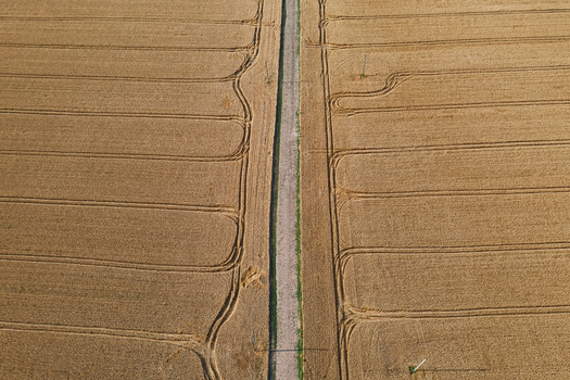 Aerial view of a straight road slicing through golden wheat fields tire tracks etched like veins across the landscape Chyhyryns kyi district Cherkasy Oblast Ukraine. Aerial view of a straight road slicing through golden wheat fields tire tracks etched like veins across the landscape Chyhyryns kyi district Cherkasy Oblast Ukraine.
