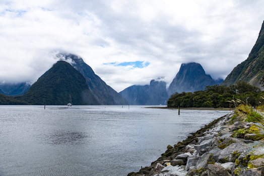 View of the serene waters reflecting the majestic mountains shrouded in mist alongside a rocky shore with green grass Milford Sound Southland Region New Zealand.
