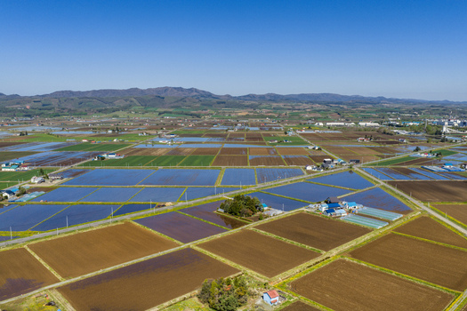 Aerial view of flooded rice paddies and agricultural fields in the rural landscape under a clear blue sky in Furano Hokkaido Japan. Aerial view of flooded rice paddies and agricultural fields in the rural landscape under a clear blue sky in Furano Hokkaido Japan.