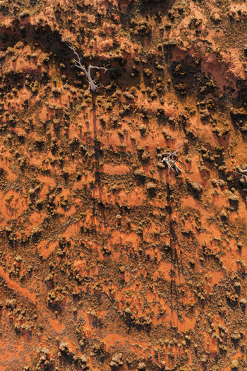 Aerial view of the red desert landscape with sparse shrubs and dead trees casting long shadows in Flinders Ranges South Australia Australia.