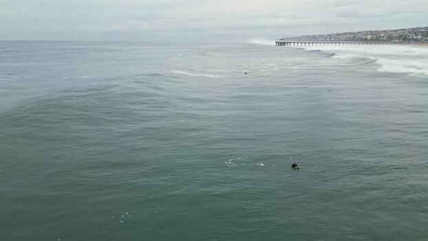 Aerial view of a surfer near Manhattan Beach Pier United States.