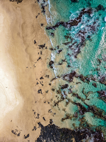 Aerial view of Cudgen Headland South Head featuring golden sand dark volcanic rocks and clear turquoise ocean waves crashing against the shore in Kingscliff New South Wales Australia. Aerial view of Cudgen Headland South Head featuring golden sand dark volcanic rocks and clear turquoise ocean waves crashing against the shore in Kingscliff New South Wales Australia.