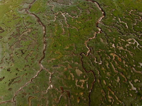 Aerial view of Abstract Tidal Patterns Culbin Sands showing intricate winding channels and lush green salt marsh vegetation in Nairn Scotland United Kingdom. Aerial view of Abstract Tidal Patterns Culbin Sands showing intricate winding channels and lush green salt marsh vegetation in Nairn Scotland United Kingdom.